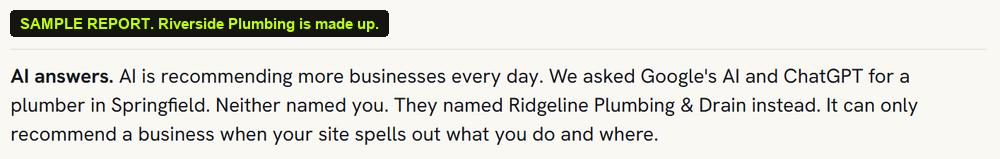 Sample: neither Google AI nor ChatGPT named Riverside Plumbing.